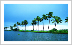 Backwater of Kerala