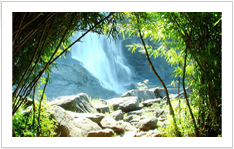 Athirappally Water Falls 