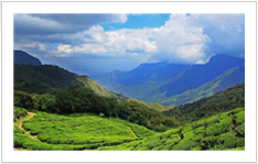 Munnar Hill Station